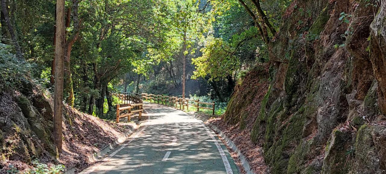 Villa Casa Dos Avos Vouzela Esterno foto
