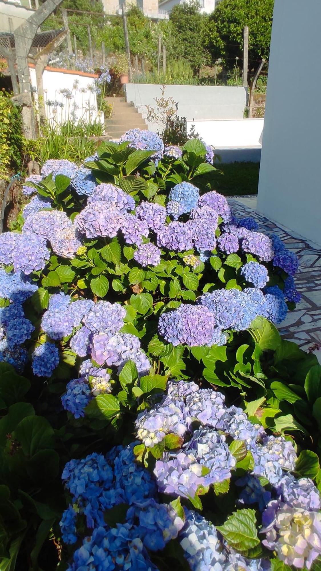 Villa Casa Dos Avos Vouzela Esterno foto