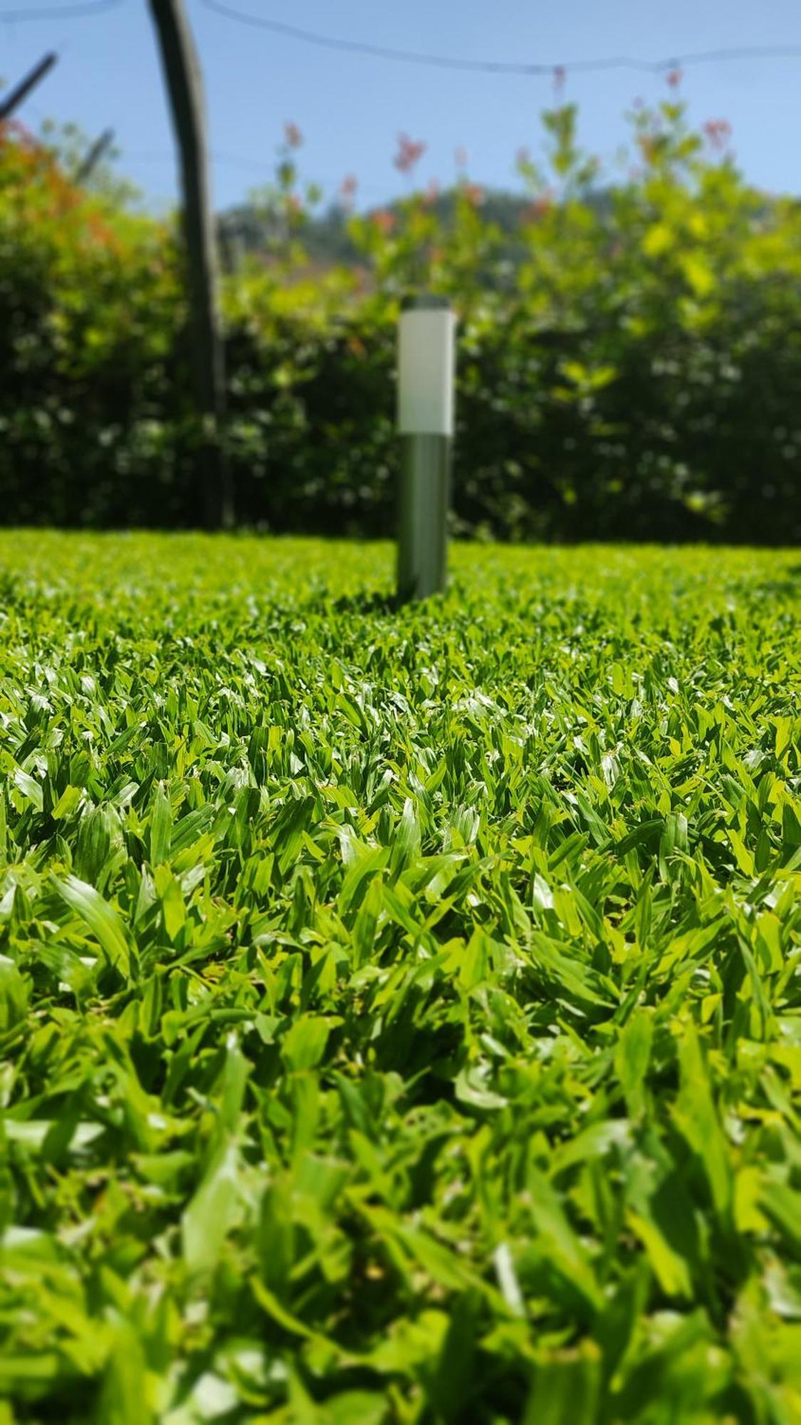 Villa Casa Dos Avos Vouzela Esterno foto