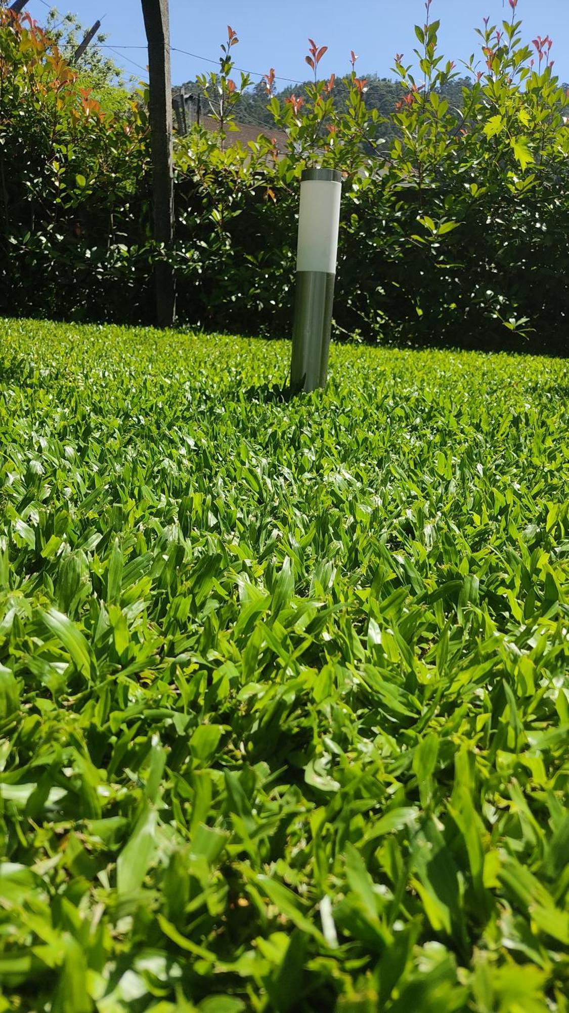 Villa Casa Dos Avos Vouzela Esterno foto